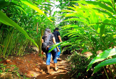 Spice Mount Heritage Resort